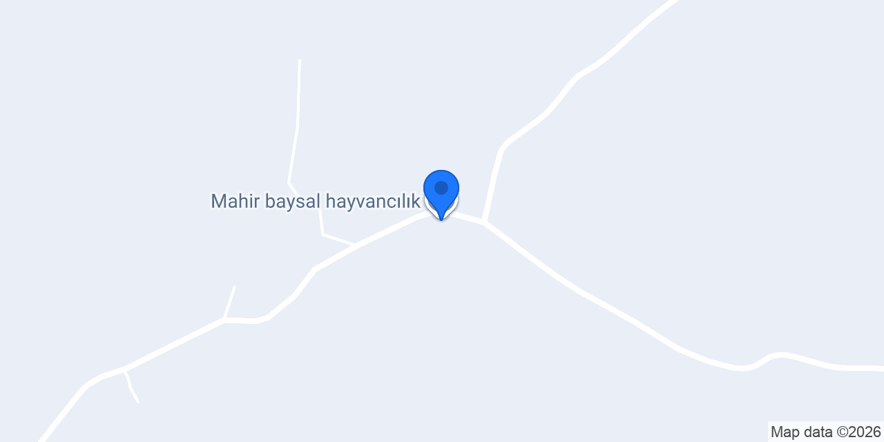 Mahir baysal hayvancılık konumu