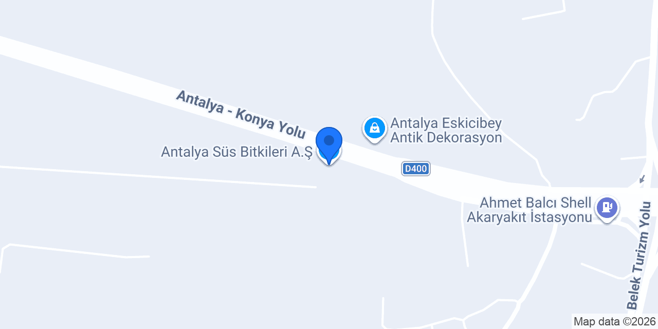 Antalya Süs Bitkileri A.Ş. konumu