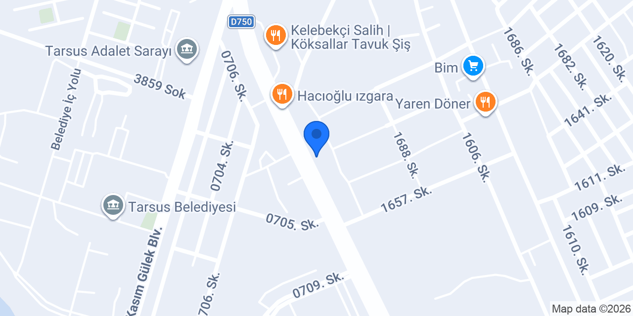 SAVAŞOĞLU TAKOĞRAF SERVİSİ konumu