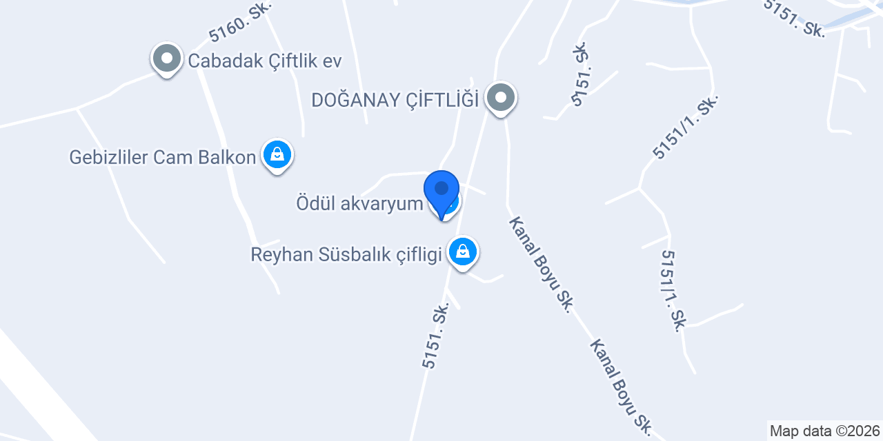 Ödül akvaryum konumu
