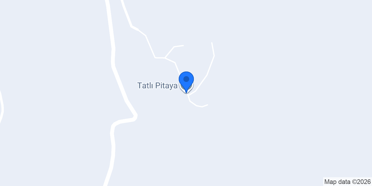 Tatlı Pitaya konumu