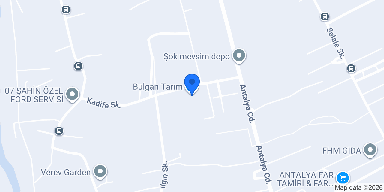 Bulgan Tarım konumu