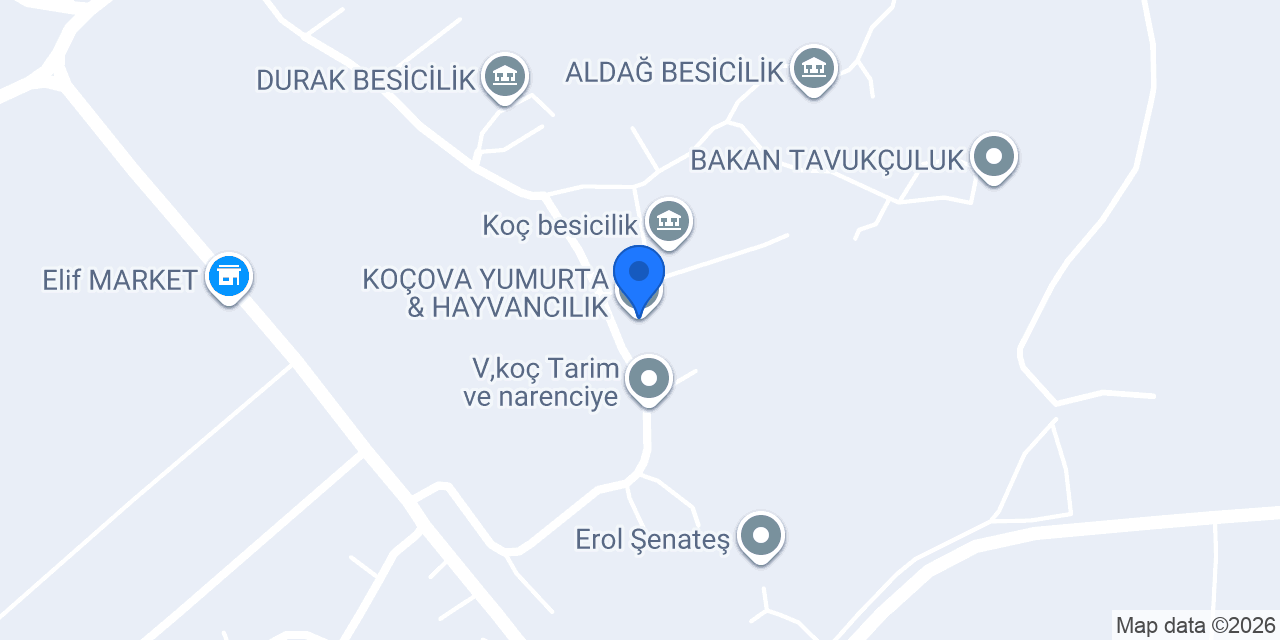 KOÇOVA YUMURTA & HAYVANCILIK konumu