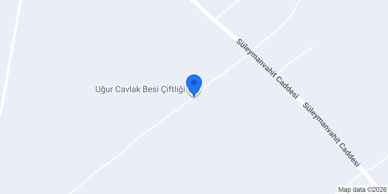 Uğur Cavlak Besi Çiftliği konumu