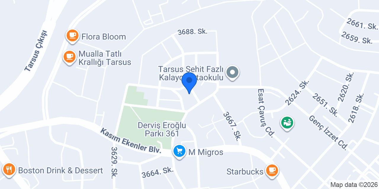 Birey Koleji Tarsus konumu