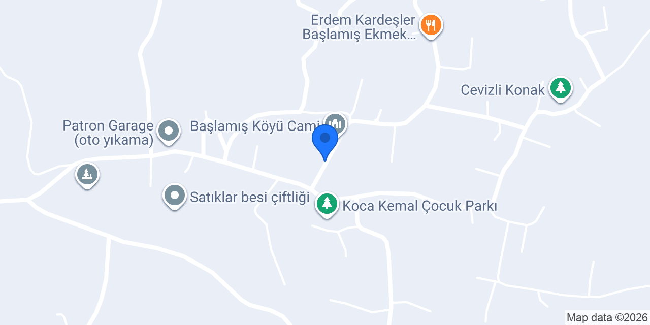 Batu Özer Mechanicalsoftware konumu
