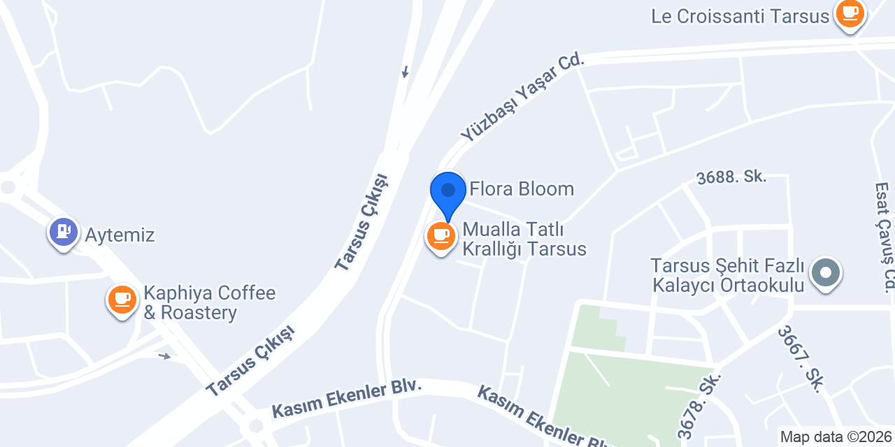 Tarsus lastikçi konumu