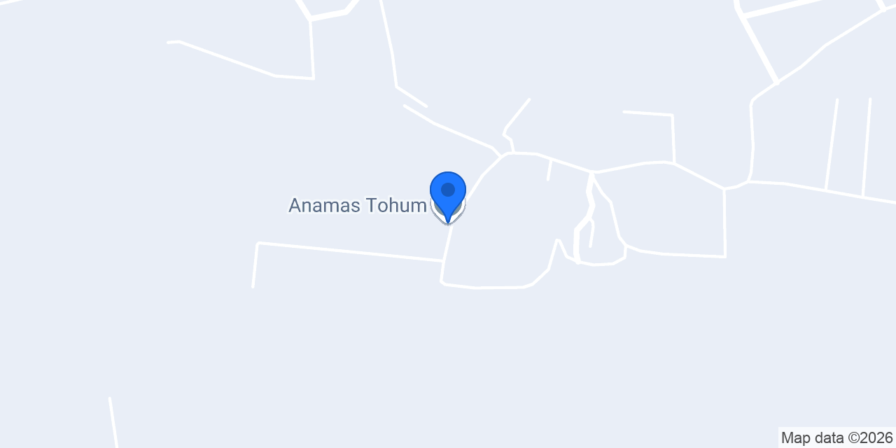 Anamas Tohum konumu