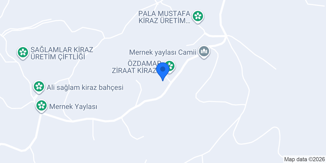 Altınaylar kiraz üretim çiftliği konumu