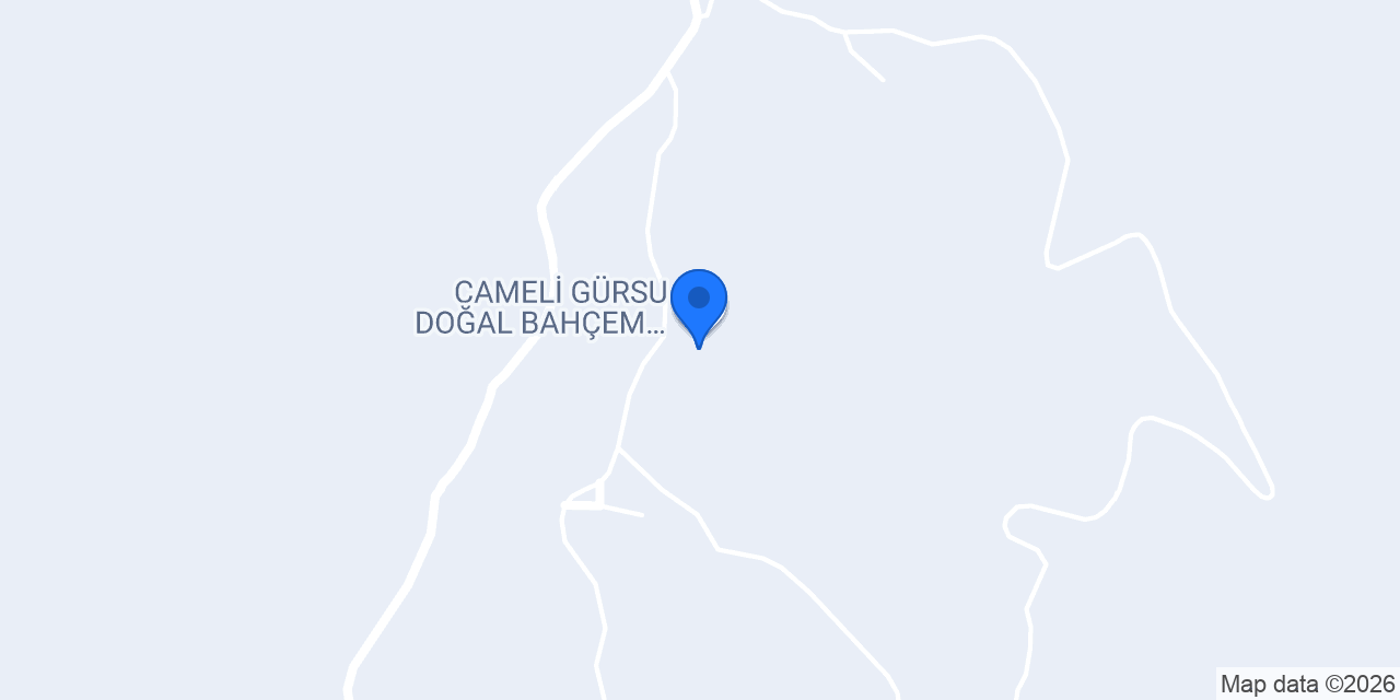 Çameli Gürsu Doğal bahçem Taş evim konumu