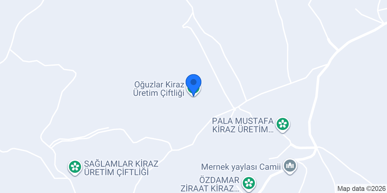 Oğuzlar Kiraz Üretim Çiftliği konumu