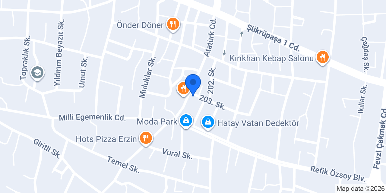 ORKİDE ÇİÇEKCİLİK ERZİN konumu