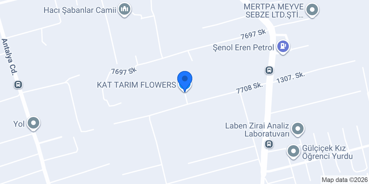 KAT TARIM FLOWERS konumu