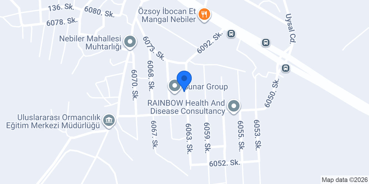 Hanikat Group Ltd. Co. konumu