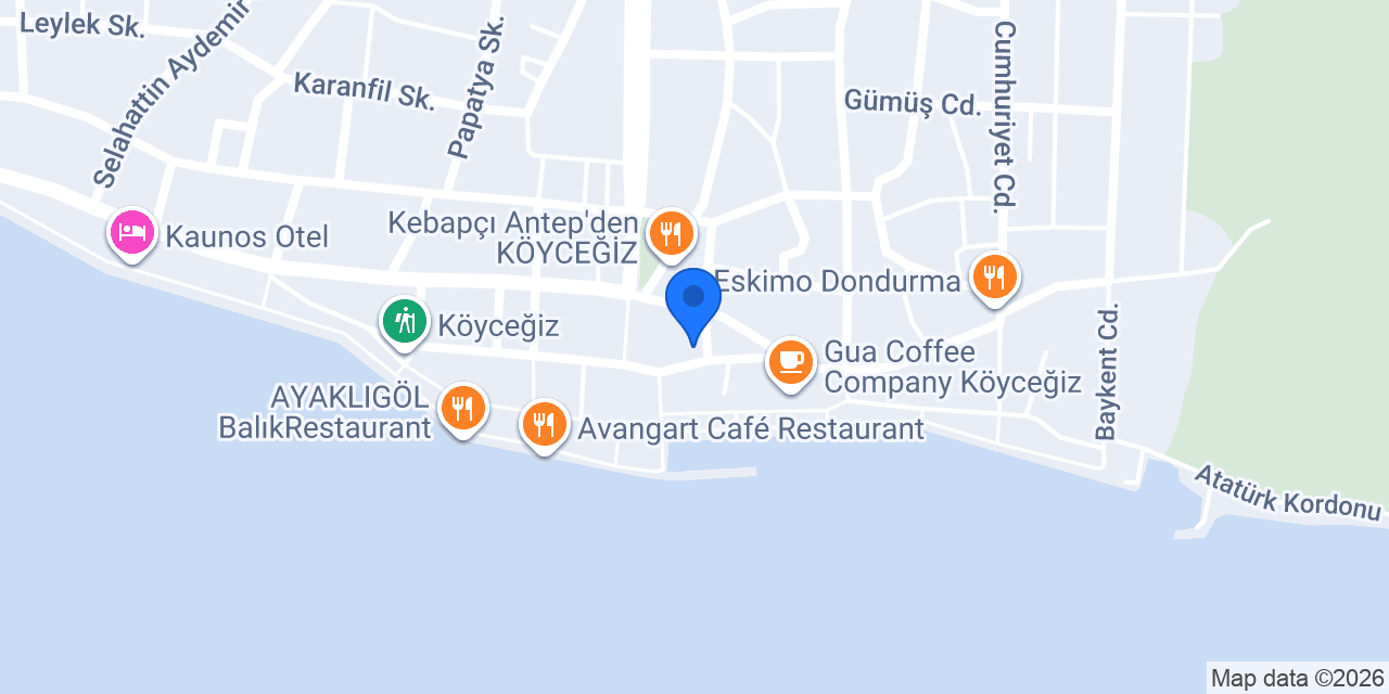 CarrefourSA konumu