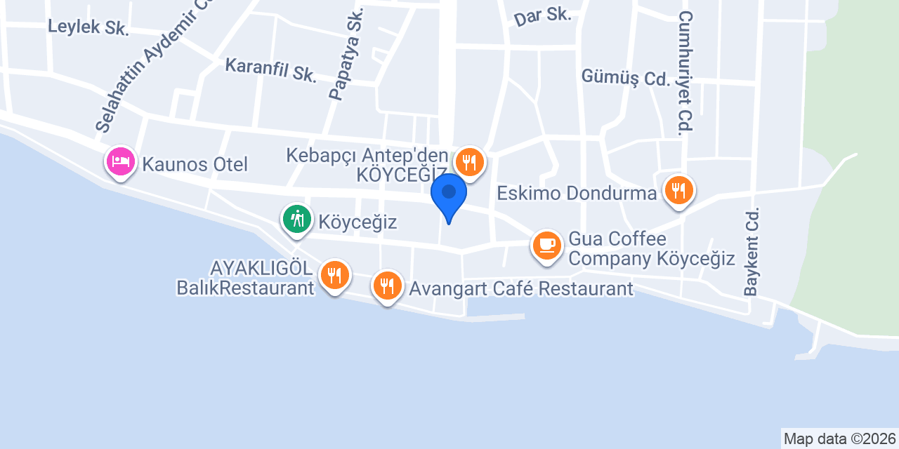 Pizza Tomato Köyceğiz konumu