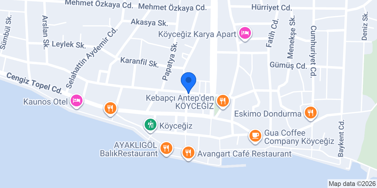Koç Motor konumu