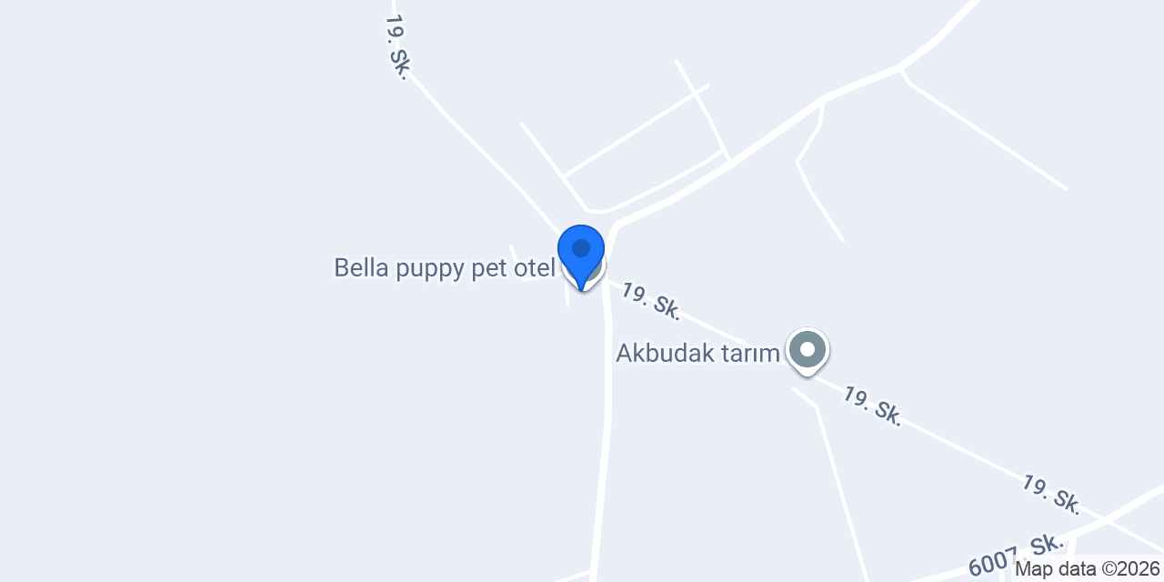 Bella puppy pet otel konumu
