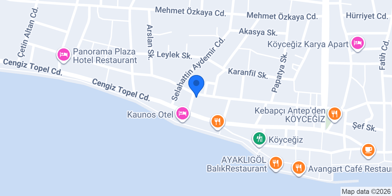 Köyceğiz Çam Balı konumu