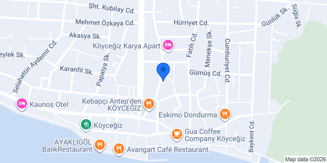 Köyceğiz elektrikci konumu