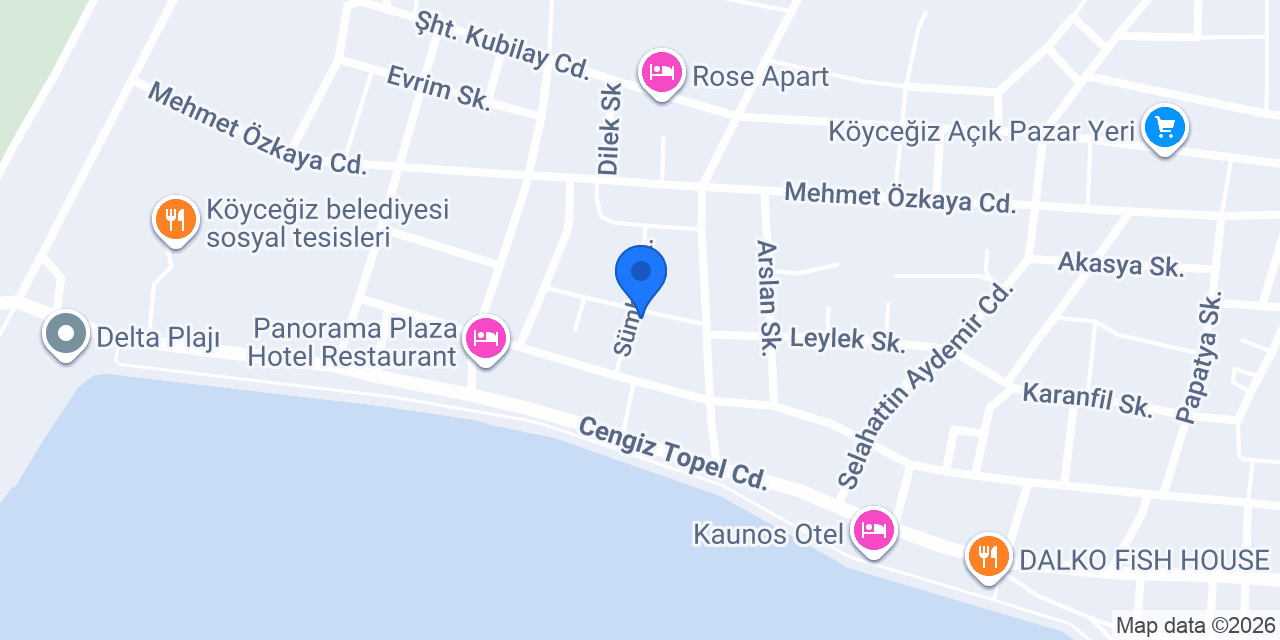 Ege Pension Koycegiz konumu