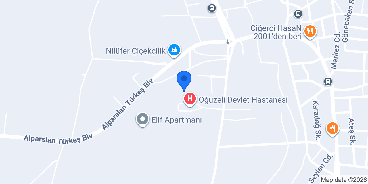 AZZ MOTOR OĞUZELİ ŞUBE konumu