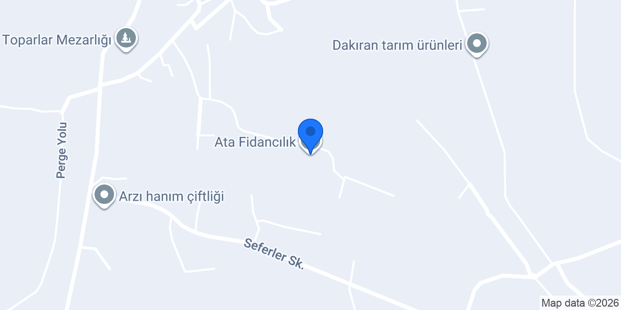 Ata Fidancılık konumu