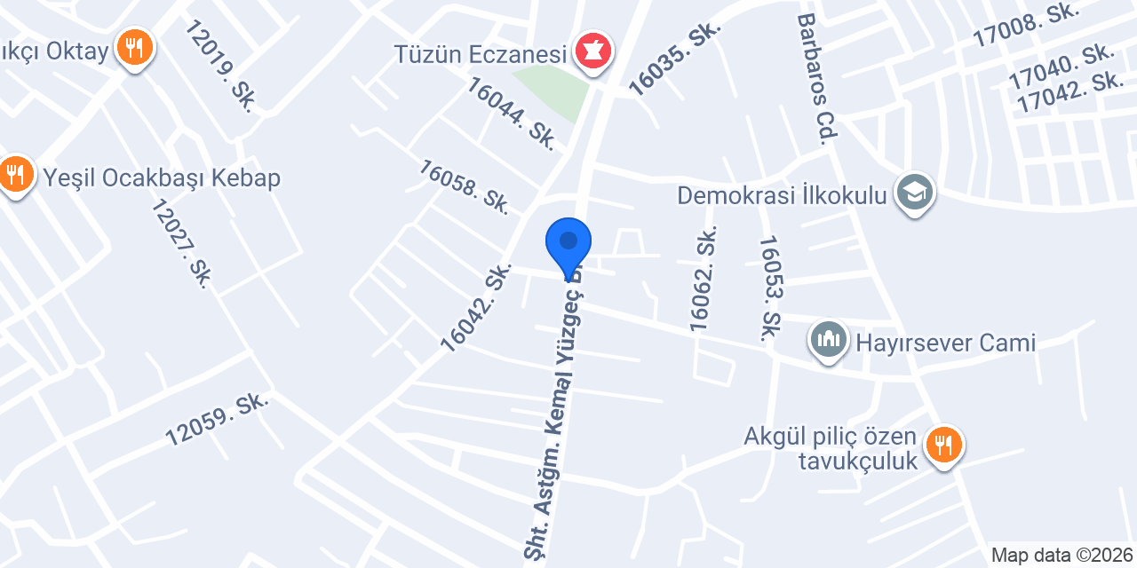 Aslan Pide konumu