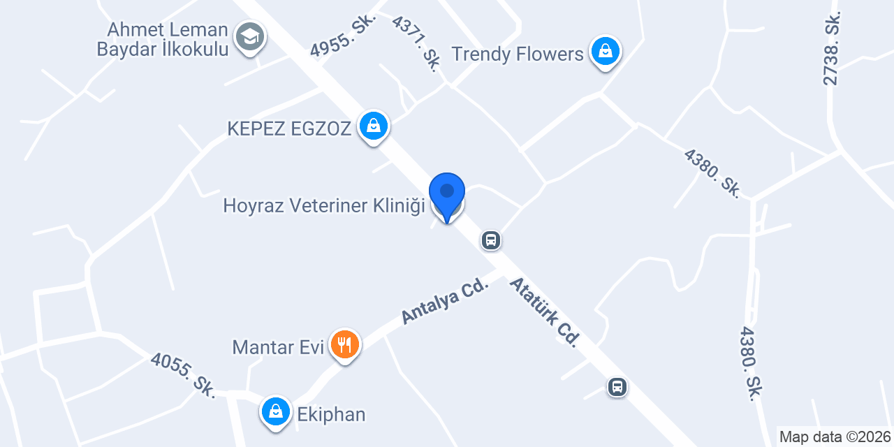 Hoyraz Veteriner Kliniği konumu