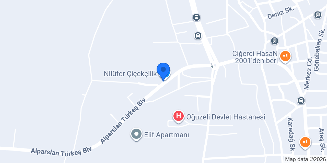 Altıntaş Mimarlık konumu