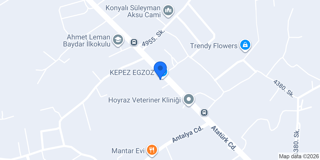 KEPEZ EGZOZ konumu