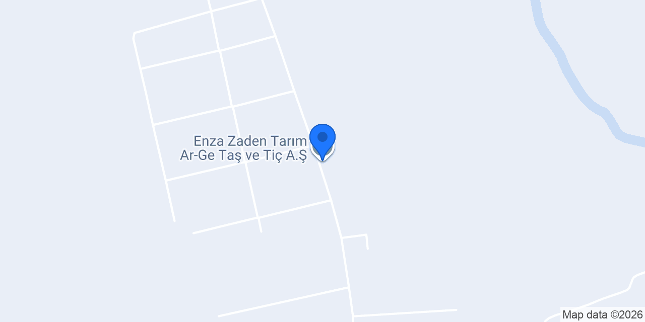 Enza Zaden Tarım Ar-Ge Taş ve Tiç A.Ş. konumu
