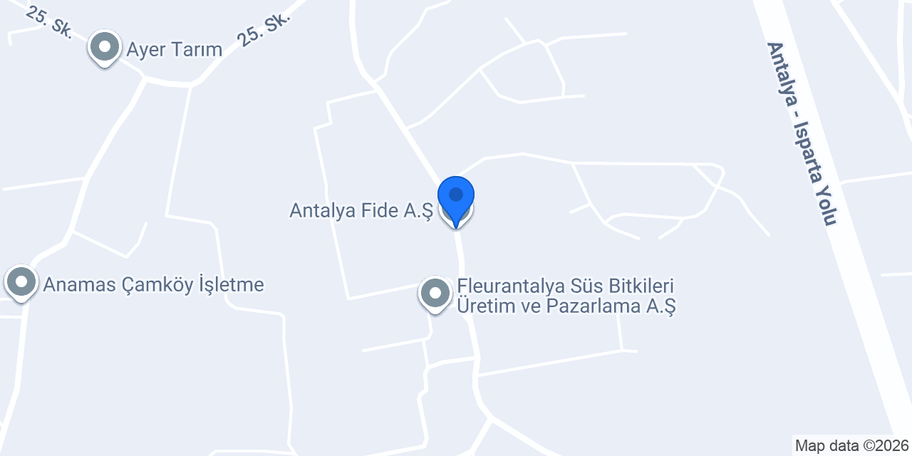 Antalya Fide A.Ş konumu