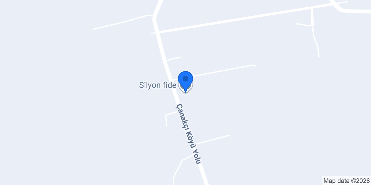 Silyon fide konumu