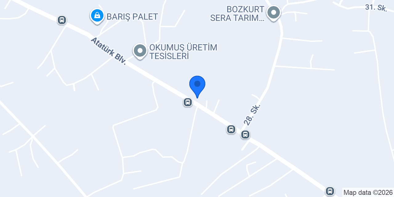 Mint mobilya konumu
