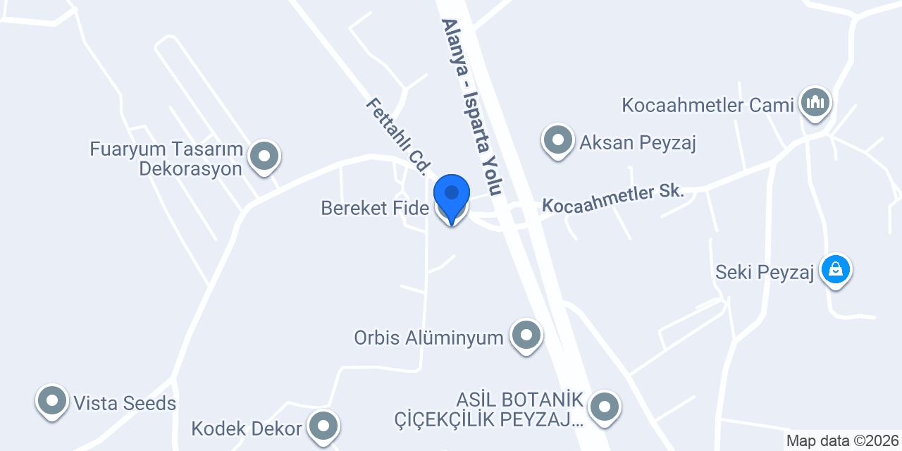 Bereket Fide konumu