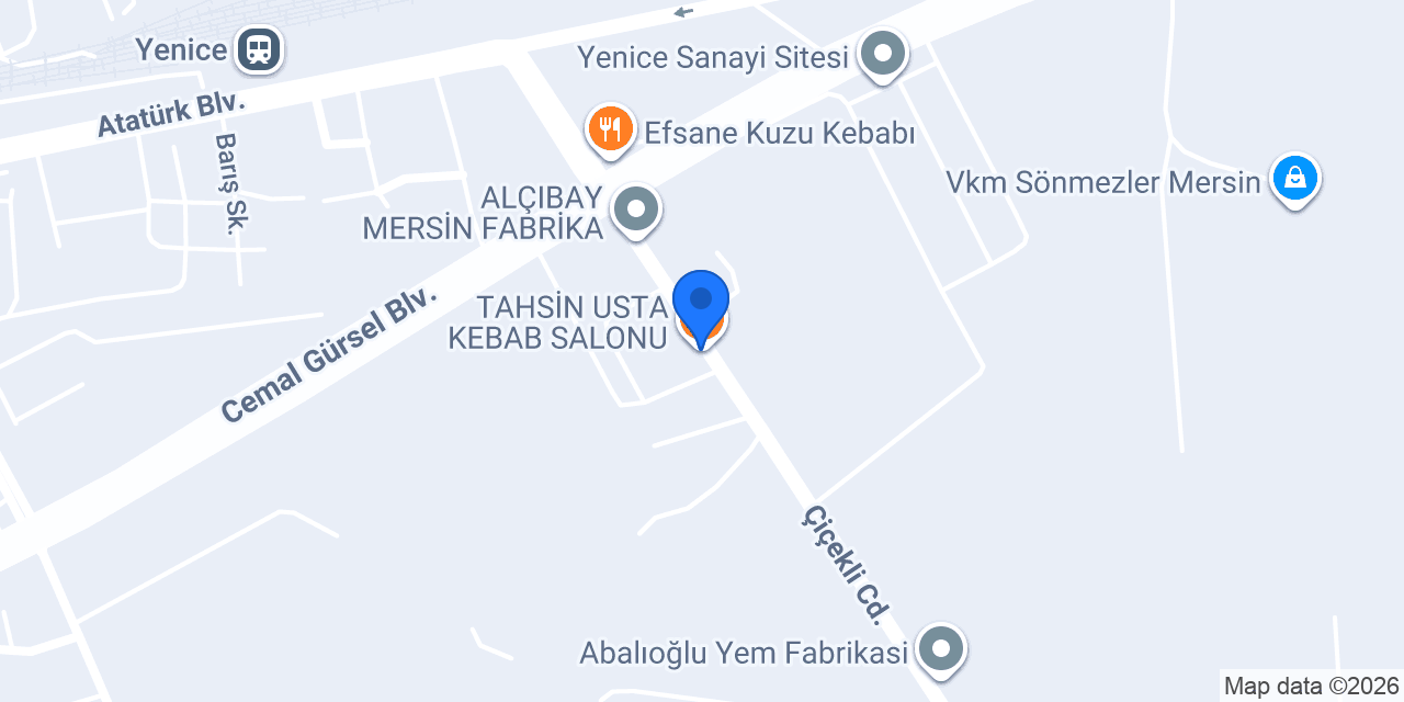 TAHSİN USTA KEBAB SALONU konumu