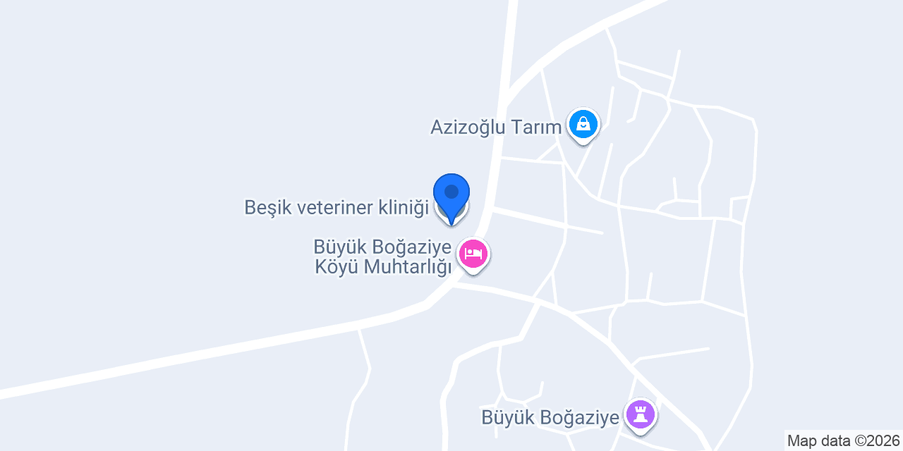 Beşik veteriner kliniği konumu