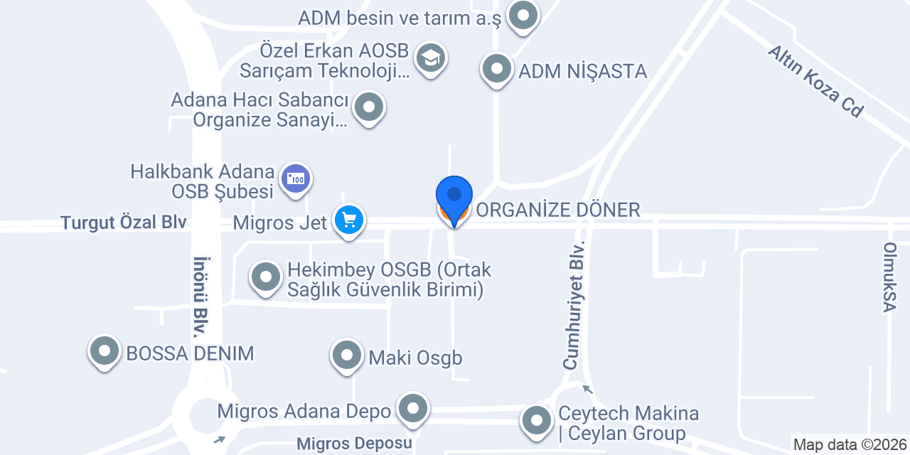 ORGANİZE DÖNER konumu