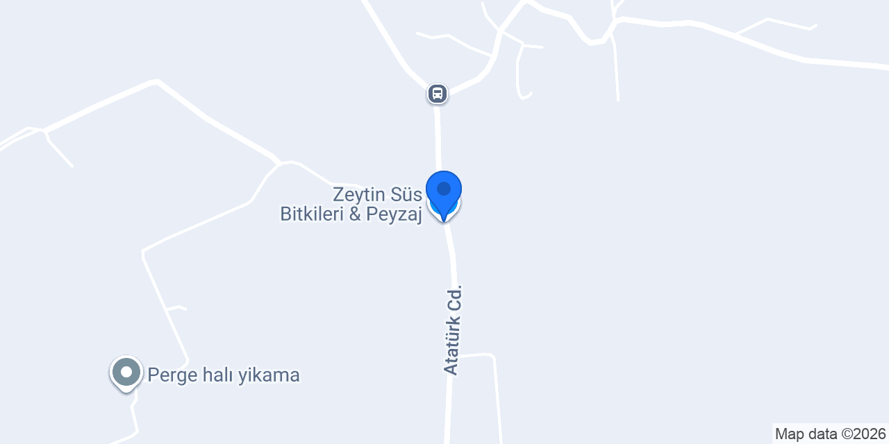 Zeytin Süs Bitkileri & Peyzaj konumu