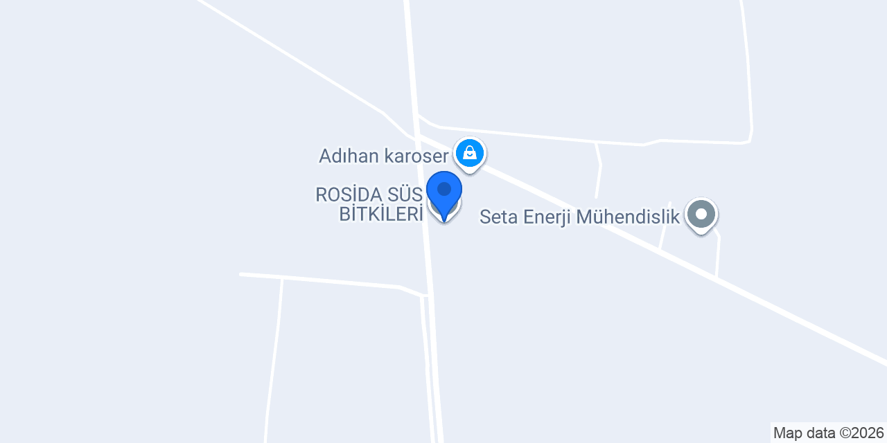 ROSİDA SÜS BİTKİLERİ konumu