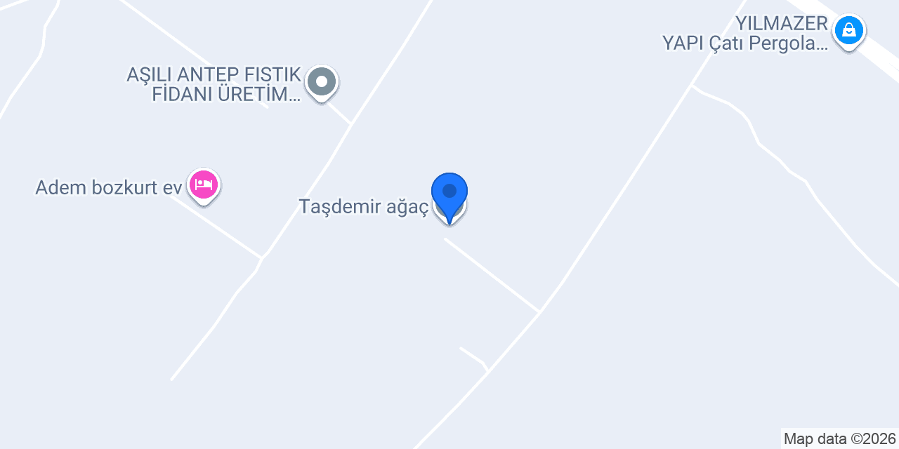 Taşdemir ağaç konumu