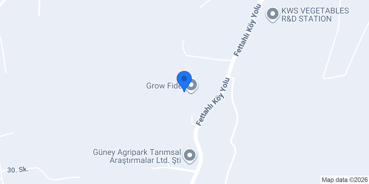 Grow Fide konumu