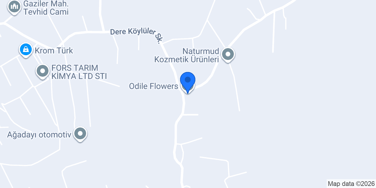 Odile Flowers konumu
