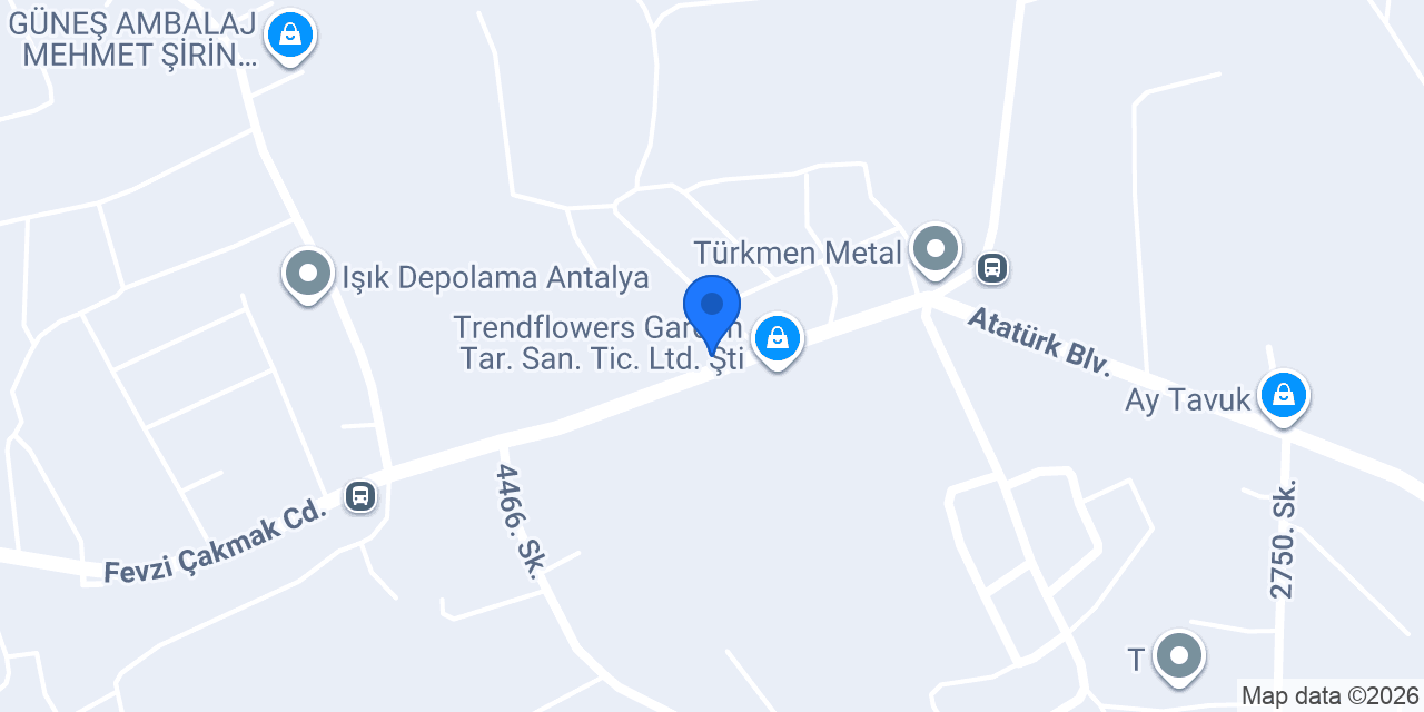 Enteroğlu elektrik konumu