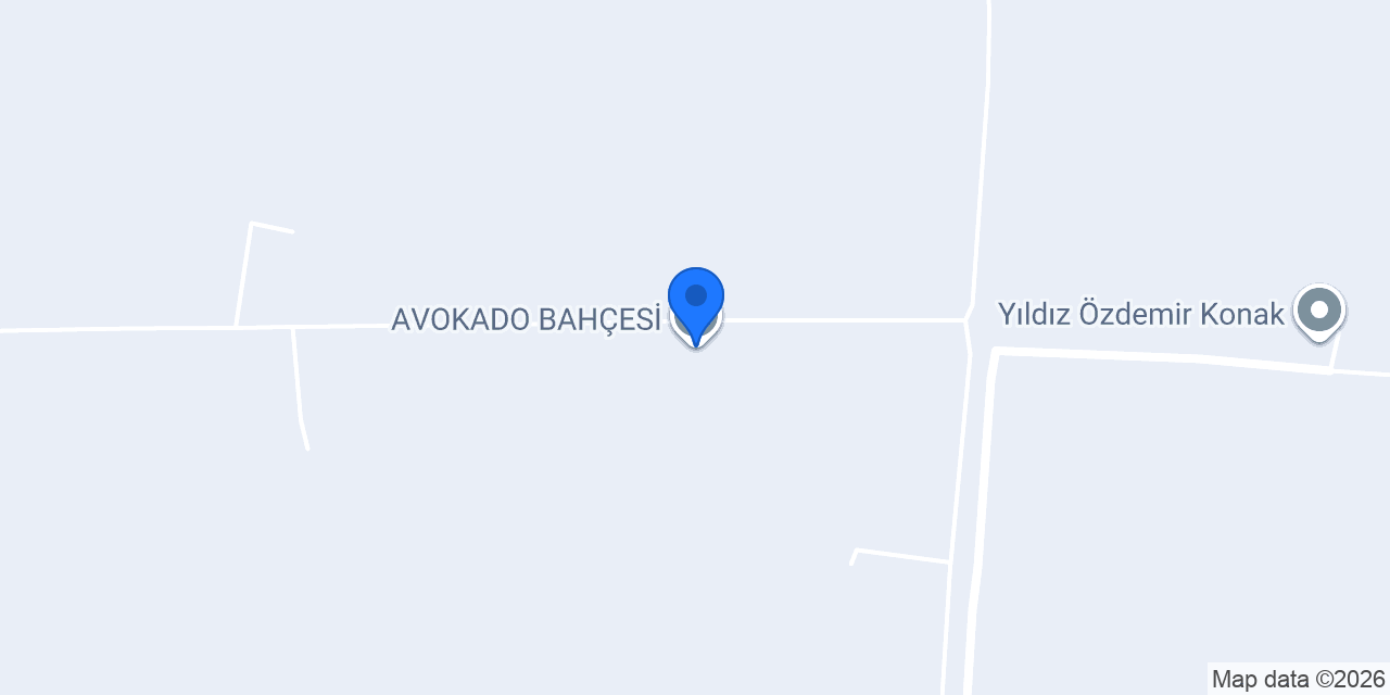 AVOKADO BAHÇESİ konumu