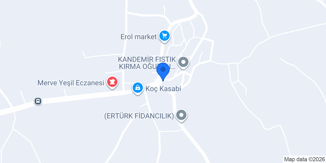 Kalkan kasap konumu