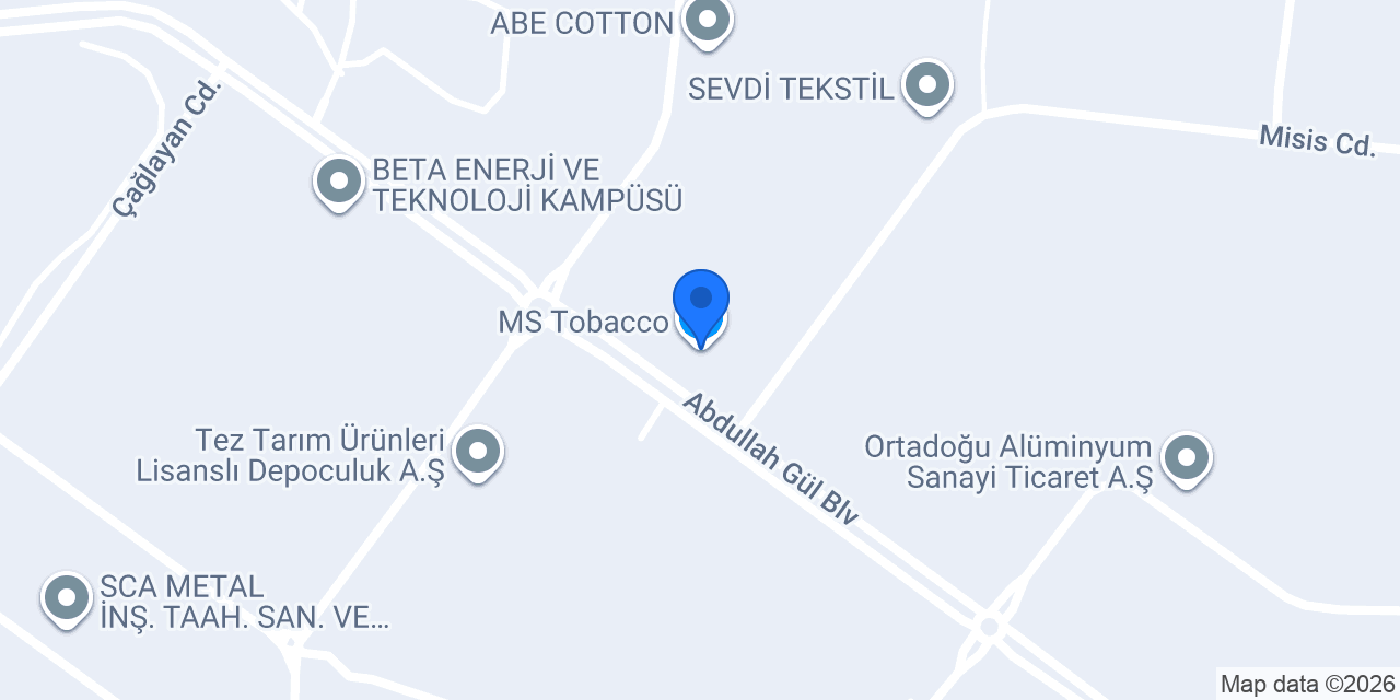 MS Tobacco konumu