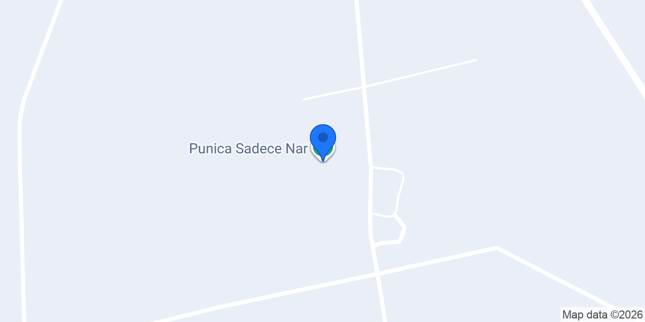 Punica Sadece Nar konumu