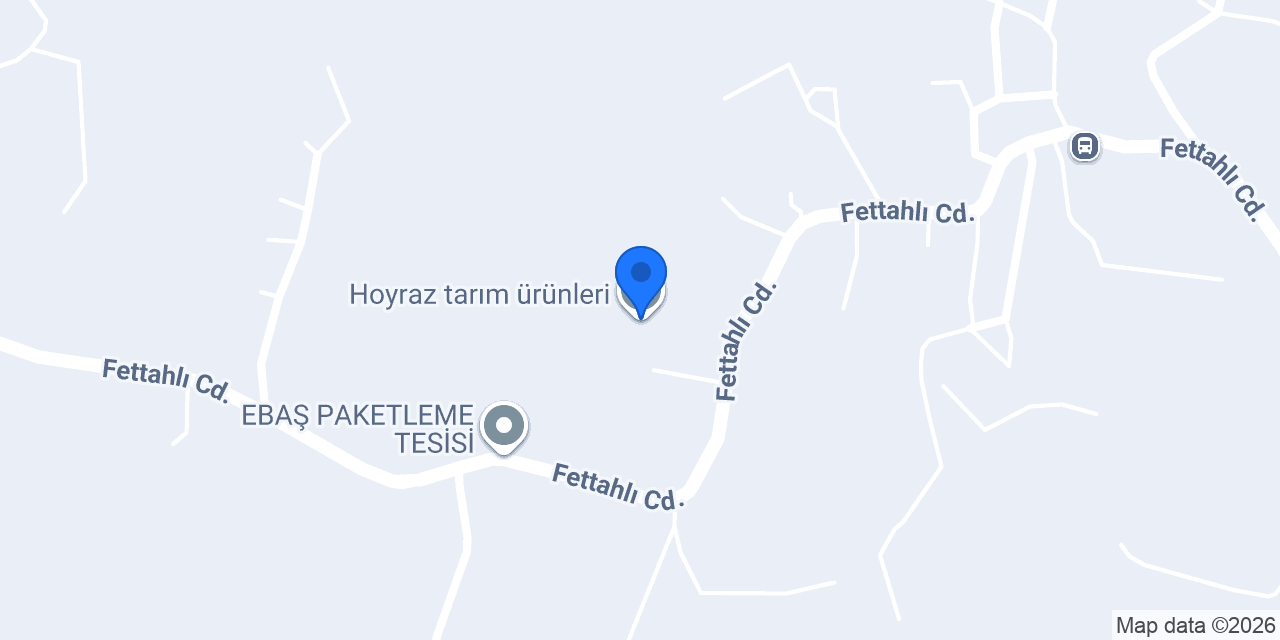 Hoyraz tarım ürünleri konumu